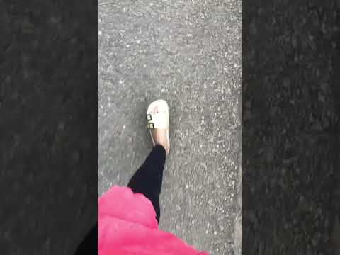 Welcome Zakee #music #song #love #nature #lifeisbutadream #travel