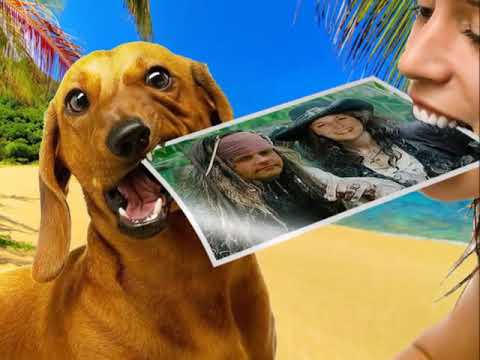 Kristjan  Kasearu - Vabadus elada