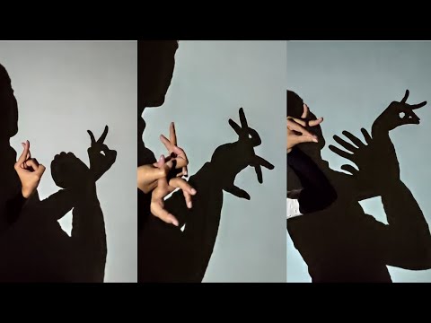 amazing hand shadow puppet show Very Interesting Ideas