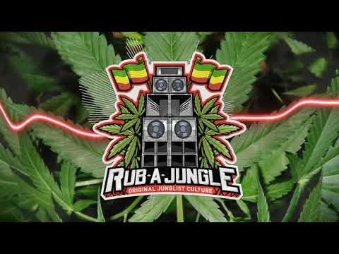 🟩🟨🟥 [PREMIER] Falkwun FT Daddy Freddy & Blackout JA - Badman Sound Killa-Totally Dubwise Recordings