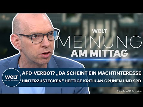 AFD-VERBOT: "In einer Demokratie hochproblematisch" Rosenfelder zerlegt Kampagne von SPD und Grünen