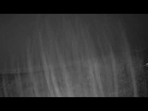 Emerald Beach Webcam in FL live webcam