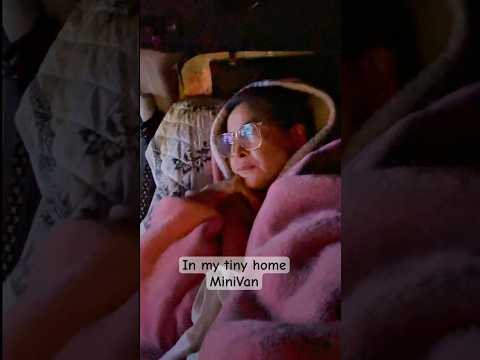 My cat and I have been up suddenly my loneliness gives me anxiety #shortfeed #shortvideo #life #maso