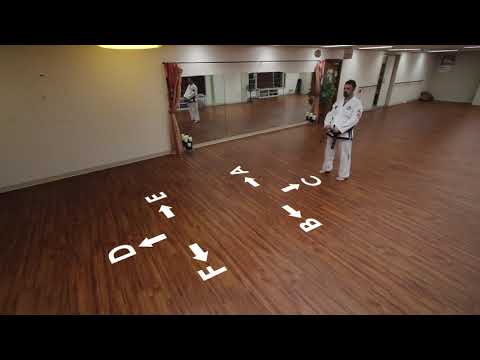 Valley View TKD Online Lesson - Dan-Gun