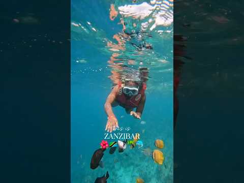 My birthday travel vlog to Zanzibar, Tanzania is now up!🇹🇿🩵 #zanzibar #zanzibartrip #travelvlog