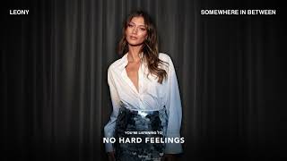 No Hard Feelings Lyrics Spanish Translation