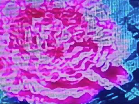 A Flower is buried under pixels