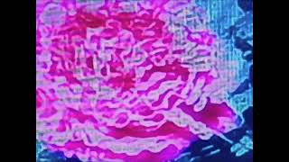 A Flower is buried under pixels