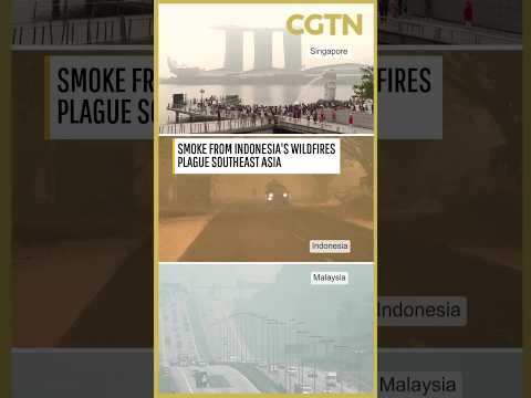 Air pollution spikes across Southeast Asia as wildfires persist in Indonesia