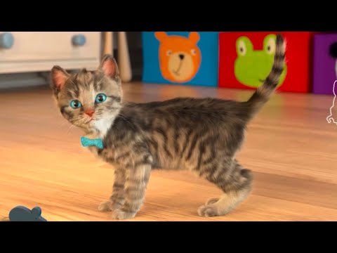 MEOW SPECIAL LITTLE KITTEN ADVENTURE -  STORY OF A LITTLE KITTEN CARTOON FOR KIDS JOURNEY FUN