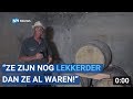 Topjaar voor West-Friese wijnen: "Het is een zalfje op de tong"