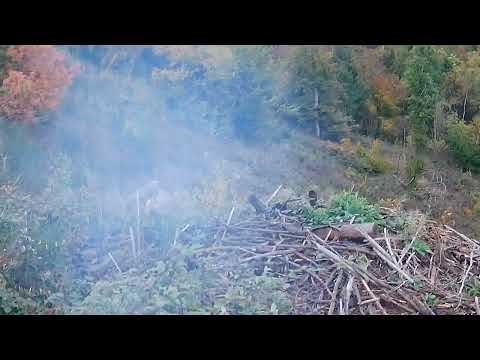 Kitz und Ricke Dublette