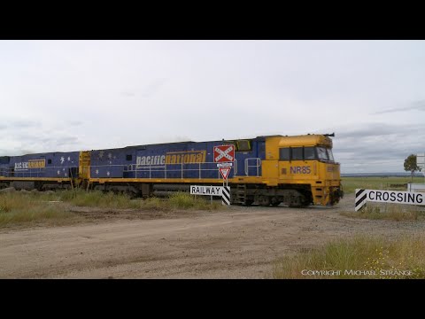 3PM4 Pacific National Steel Train At Railway Crossing (19/11/2021) - PoathTV Australian Railways