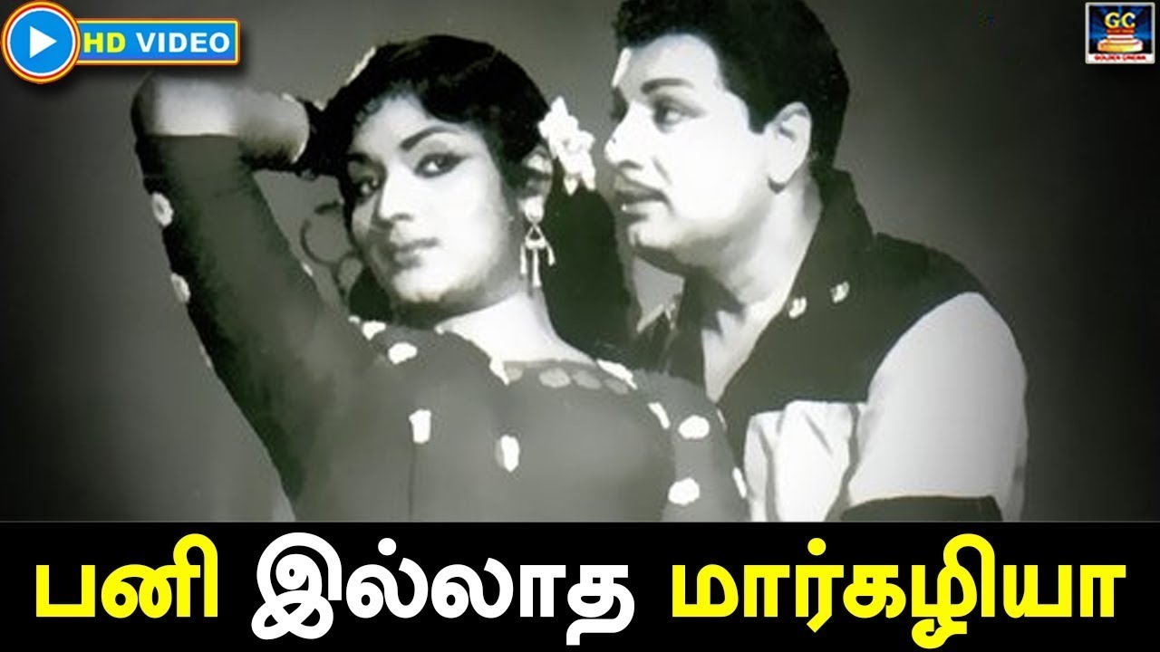 Pani Illatha Markazhiya Song Lyrics | Anandha Jodhi Tamil | T. M. Soundarajan, P. Susheela