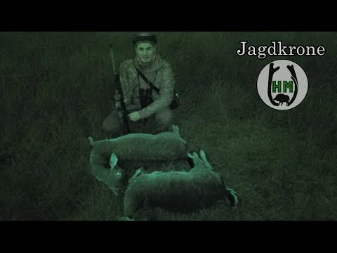 Damwilddoublette am Abend - Jagdkrone I Jetzt auf HUNT ON DEMAND