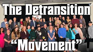 The Detransition Movement | DDD