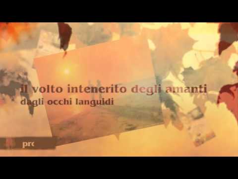 Armonie - Luigi Antonio Pilo