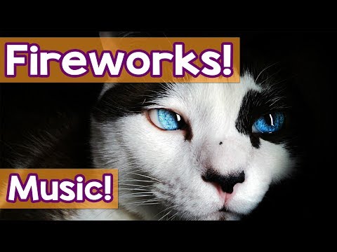 Music for Cats: How to Help My Cat, Scared of Loud Noises, Thunder and Fireworks! Music for Bangs!