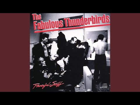 Fabulous Thunderbirds Video