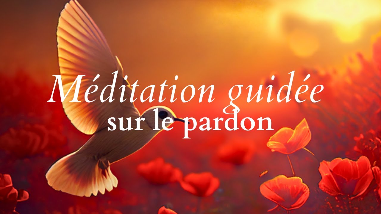 Le pardon I Méditation Guidée I Reprogrammation de l'inconscient I musique de guérison I
