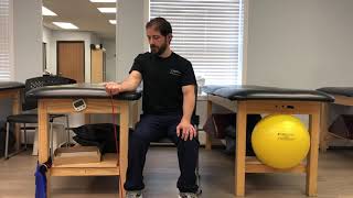 Seated Wrist Flexion with Theraband