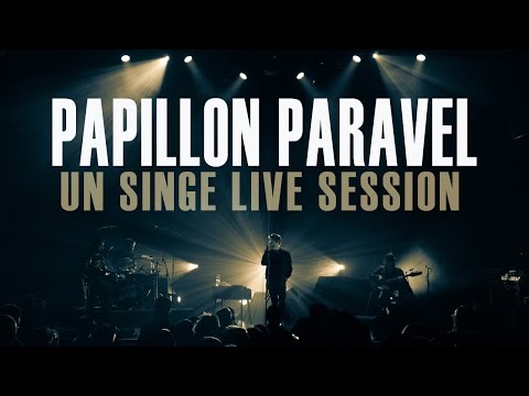 PAPILLON PARAVEL - Un singe - LIVE SESSION