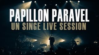 PAPILLON PARAVEL - Un singe - LIVE SESSION