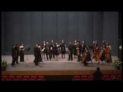 Concierto Orquesta de Camara del Teatro Municipal 2012, Copiapo (1/5)