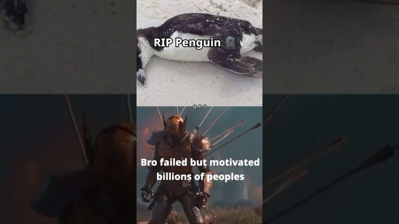 That One Penguin 🐧🥺🐧🥺 #rip #penguin #newshorts #viral #trendingnow #search #mountains #antarctica