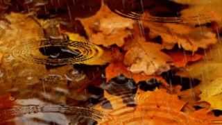 Autumn Leaves - Paula Cole