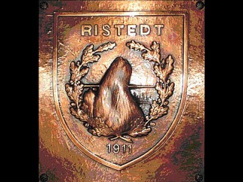 Volksschützenfest Ristedt 2019