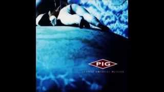 PIG - Salambo