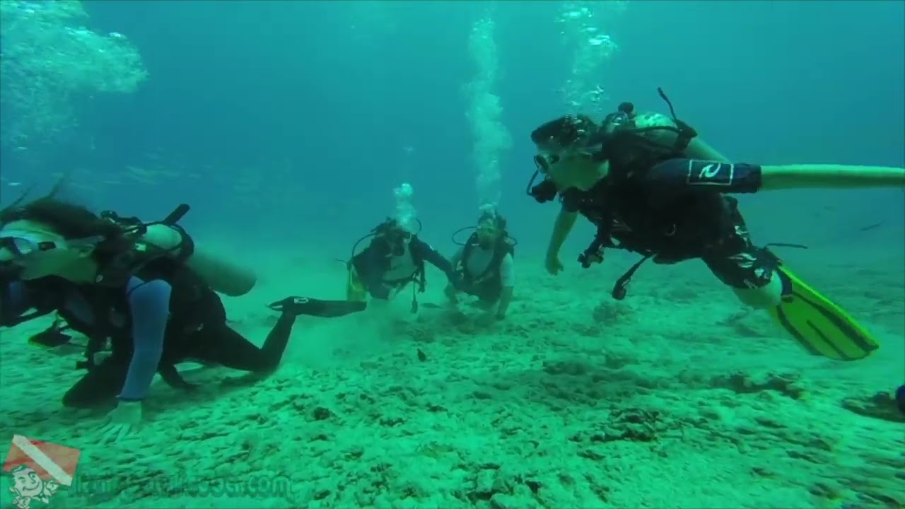 First-time SCUBA divers descending at Horseshoe Reef, Honolulu, Oahu