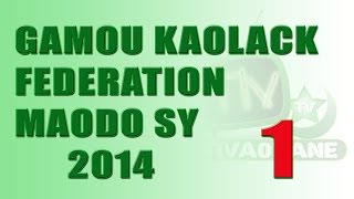 preview picture of video 'Gamou   Fédération Serigne Maodo Sy kaolack 2014 (1ère partie)'