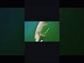 Video Thumbnail for Pike strikes camera! ?? #Fishing #Camera #Nature #shorts