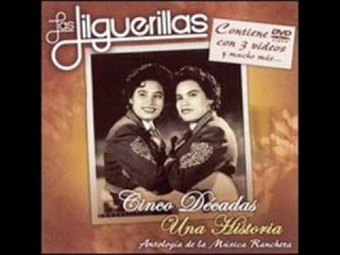 JILGUERILLAS - Los Girasoles