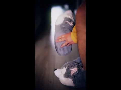 Jona Camacho - Kiss (Prince Cover)