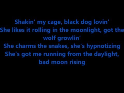 Black Stone Cherry - Shakin' My Cage(lyrics)