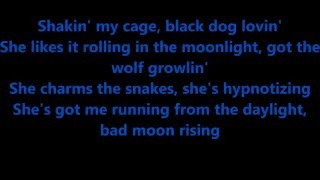 Black Stone Cherry - Shakin&#39; My Cage(lyrics)