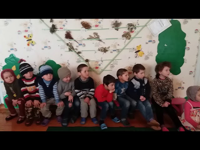 видеогалерея