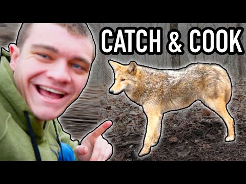 The worst thing i've ever eaten... (Coyote CATCH CLEAN COOK)