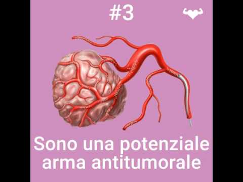 Come bandire vermi a un Labrador Riduzione di sistema nervoso a cancro di un parassita di un sakkulina