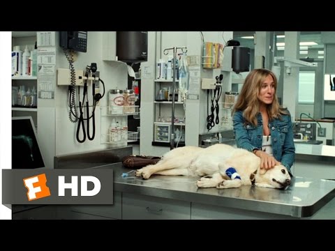 Failure to Launch (3/10) Movie CLIP - Emotional Crisis Stage (2006) HD