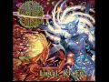 Rings Of Saturn- Natural Selection (20% Slower ...