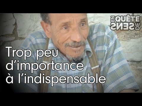 Pierre Rabhi : "Trop peu d'importance à l'indispensable"