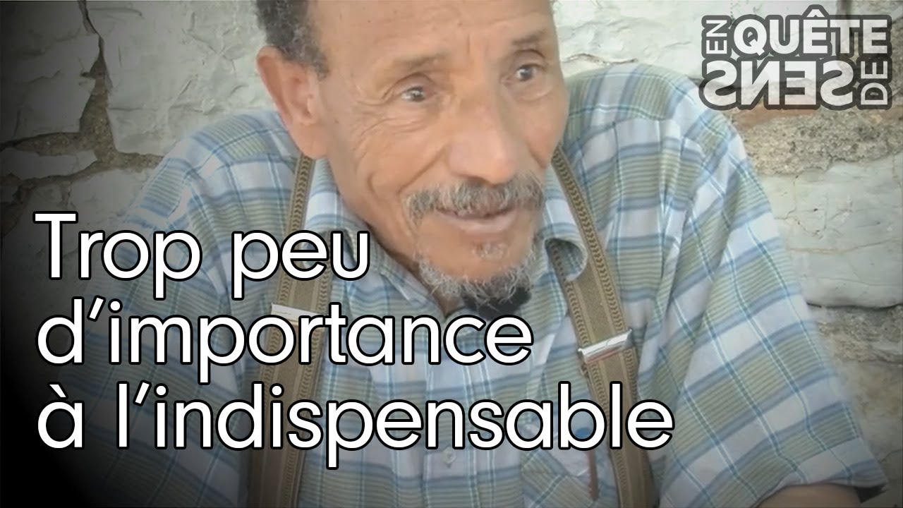 Miniature de la vidéo Pierre Rabhi : "Trop peu d'importance à l'indispensable" du film En quête de sens