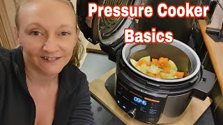 Pressure Cooker Basics | Potatoes and Carrots | Video 1 | Ninja 11in1 | Multi Cooker