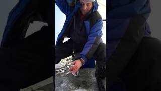 Зимняя рыбалка на кривой луке