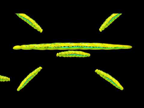 I AM A CREATIVE GENIUS 1 (play on loop)