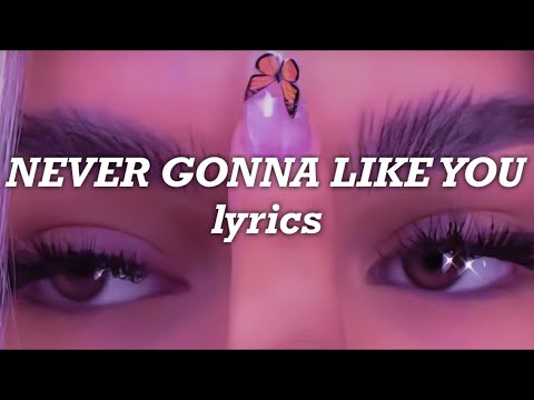 Bea Miller, Snakehips - Never Gonna Like You (Lyrics)